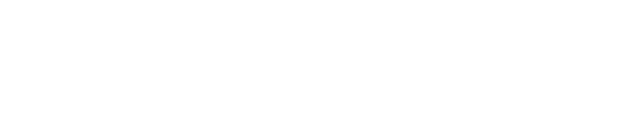D.I.S. RECORDS - Salzburg
